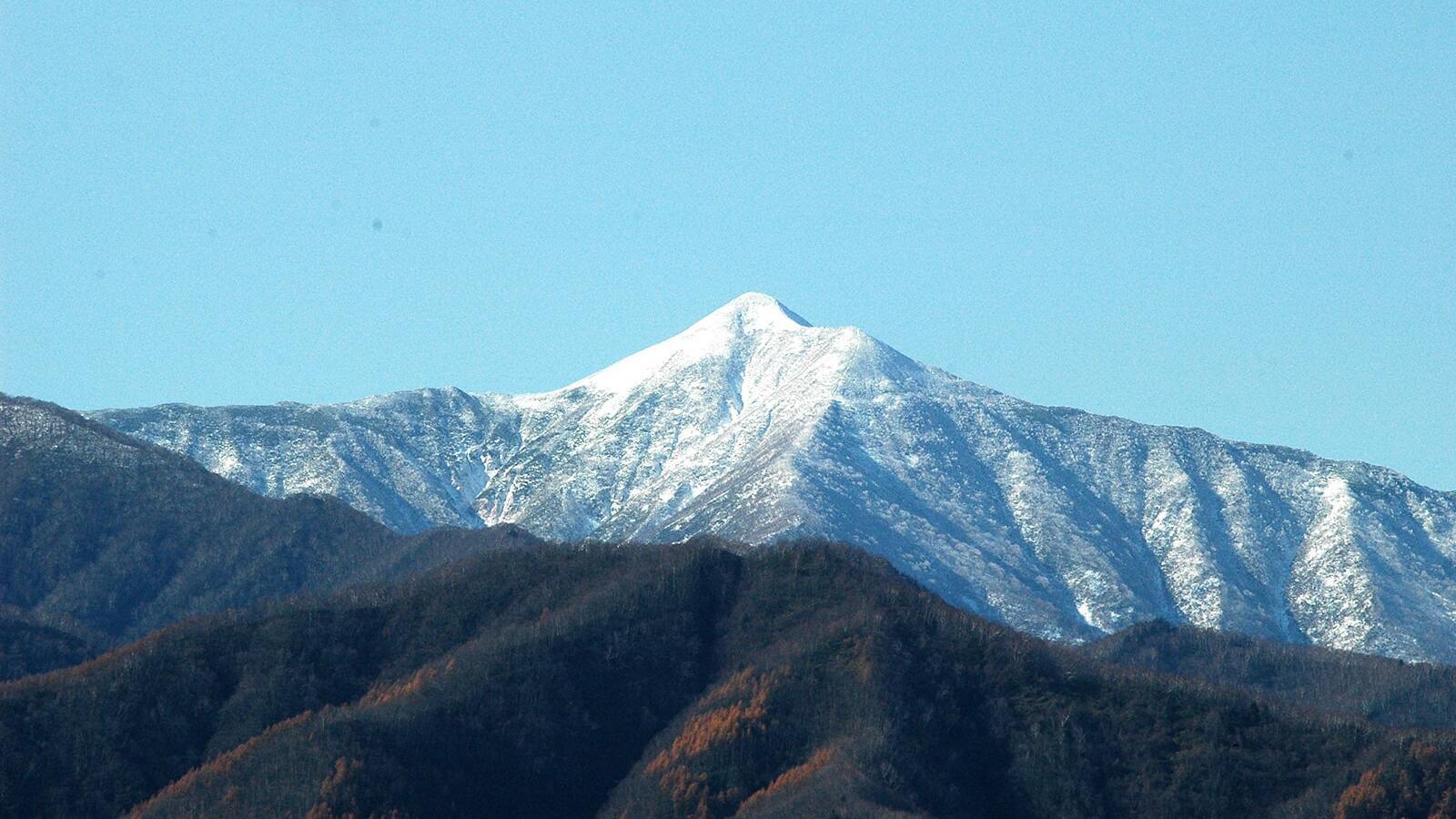 珍味 いくら ししゃも 昆布 鮭 かに 北海道広尾町 山本水産 より前浜のうまいもんを全国へ